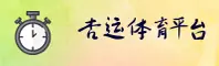 使用指南与常见问题